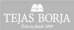 Tejas Borja logo
